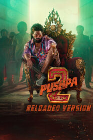 Pushpa 2 – The Rule (Reloaded Version) (2024)