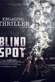 Blind Spot (2025)